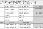 诚志股份上半年净利润约1.87亿元 同
扭亏为盈