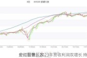 宏川智慧：2023年营收利润双增长 持续
分红回馈股东