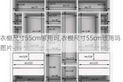 衣橱尺寸55cm够用吗,衣橱尺寸55cm够用吗图片