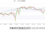 龙磁科技(300835.SZ)：2023年净利润同
下降29.71% 拟10派2元