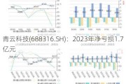 青云科技(688316.SH)：2023年净亏损1.7亿元