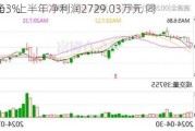 道道全：上半年净利润2729.03万元 同
降81.63%