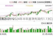 云赛智联：2024年半年度净利润约1.13亿元，同
增加21.78%