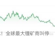 锂价跌跌不休！全球最大锂矿商叫停
洲锂矿
建设