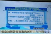 海南加快处置围填海历史
问题，部分围填海区域可进行用海备案