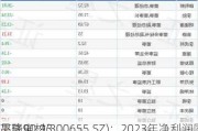 晶瑞电材(300655.SZ)：2023年净利润同
下降90.93%