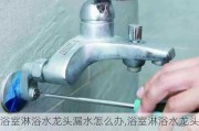 浴室淋浴水龙头漏水怎么办,浴室淋浴水龙头漏水怎么办?视频