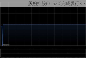 天机控股(01520)完成发行3.3亿股
股份