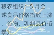 粮农组织：5 月全球食品价格指数上涨，谷物、乳制品价格攀升