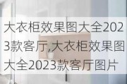 大衣柜效果图大全2023款客厅,大衣柜效果图大全2023款客厅图片