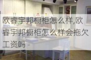 欧睿宇邦橱柜怎么样,欧睿宇邦橱柜怎么样会拖欠工资吗