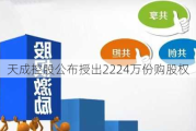 天成控股公布授出2224万份购股权