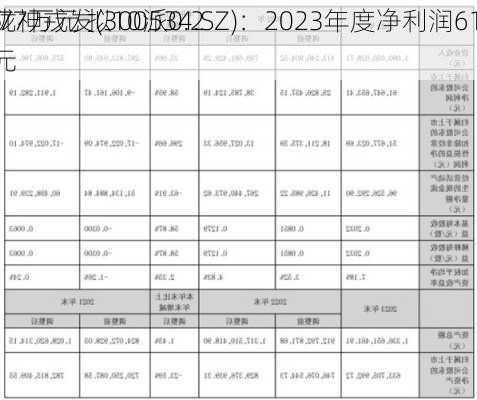 陇神戎发(300534.SZ)：2023年度净利润61
.77万元 拟10派0.2元