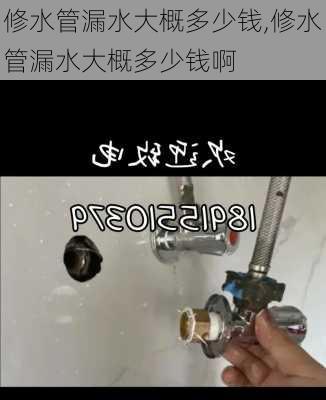 修水管漏水大概多少钱,修水管漏水大概多少钱啊