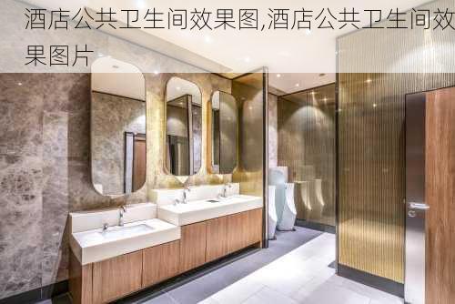 酒店公共卫生间效果图,酒店公共卫生间效果图片