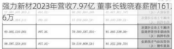 强力新材2023年营收7.97亿 董事长钱晓春薪酬161.6万