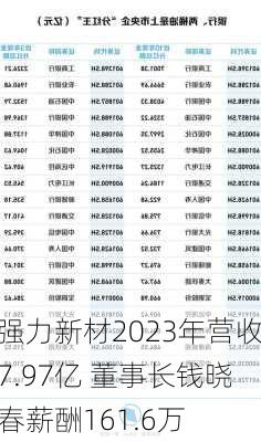 强力新材2023年营收7.97亿 董事长钱晓春薪酬161.6万