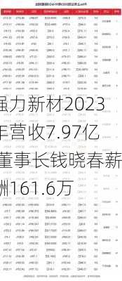 强力新材2023年营收7.97亿 董事长钱晓春薪酬161.6万