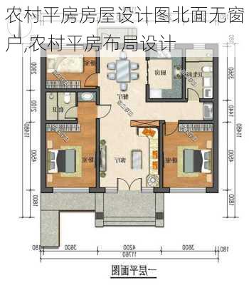 农村平房房屋设计图北面无窗户,农村平房布局设计