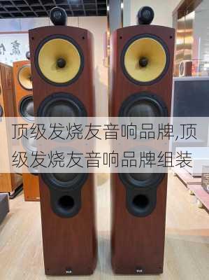 顶级发烧友音响品牌,顶级发烧友音响品牌组装