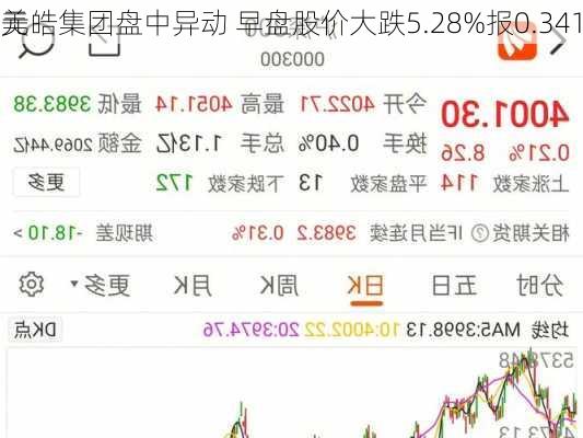 美皓集团盘中异动 早盘股价大跌5.28%报0.341
元