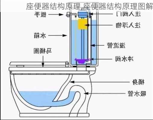 座便器结构原理,座便器结构原理图解