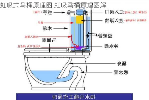 虹吸式马桶原理图,虹吸马桶原理图解