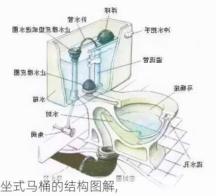 坐式马桶的结构图解,