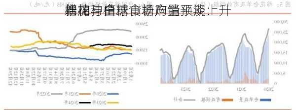 棉花与白糖市场购销平淡：
新棉种植
增加，全球食糖产量预期上升