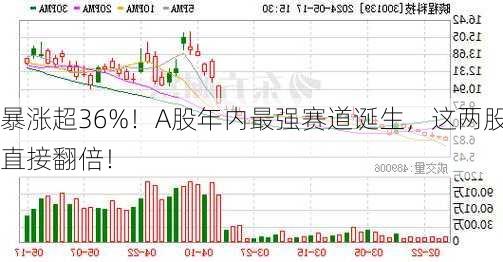 暴涨超36%！A股年内最强赛道诞生，这两股直接翻倍！