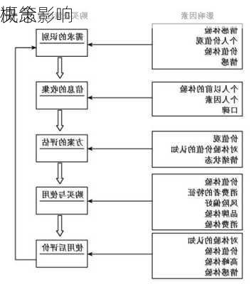 
概念影响
决策