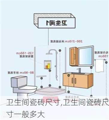 卫生间瓷砖尺寸,卫生间瓷砖尺寸一般多大