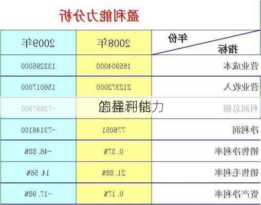 怎样评估
的盈利能力