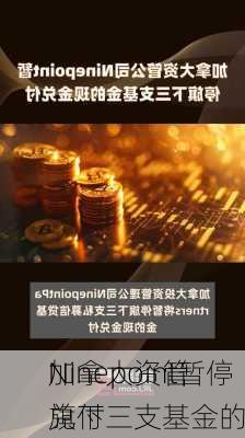 加拿大资管
Ninepoint暂停旗下三支基金的
兑付