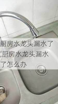 厨房水龙头漏水了,厨房水龙头漏水了怎么办