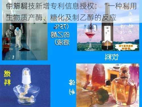 
创新层
中溶科技新增专利信息授权：“一种利用生物质产酶、糖化及制乙醇的反应
”