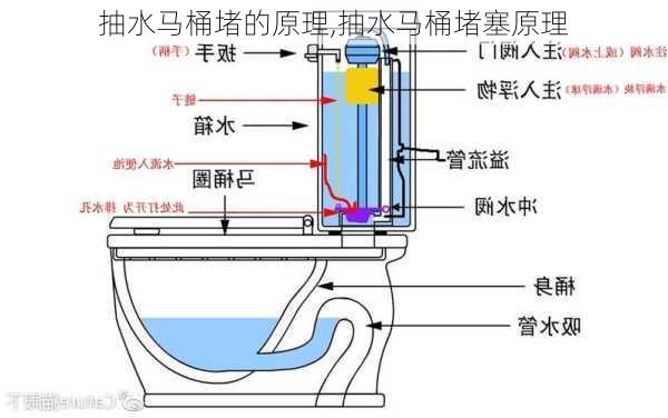 抽水马桶堵的原理,抽水马桶堵塞原理