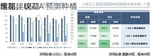 棉花：USDA 预测种植
增加，棉花
策略建议