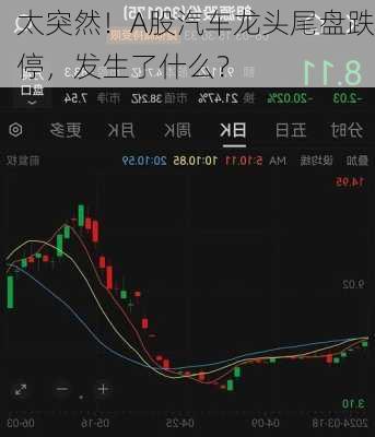 太突然！A股汽车龙头尾盘跌停，发生了什么？