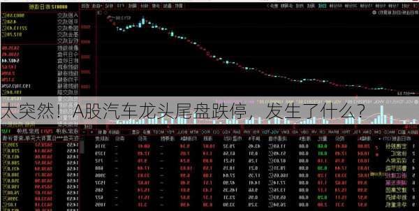 太突然！A股汽车龙头尾盘跌停，发生了什么？