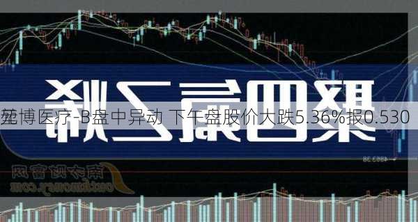 堃博医疗-B盘中异动 下午盘股价大跌5.36%报0.530
元