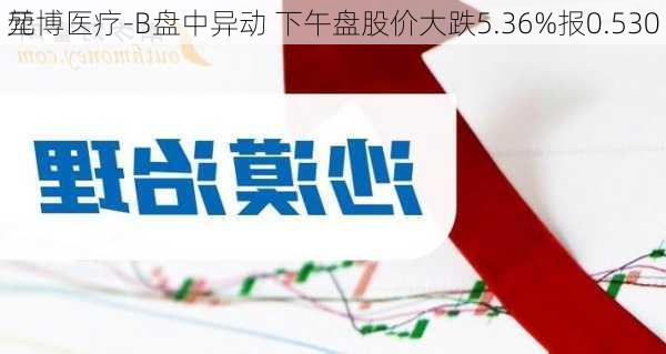 堃博医疗-B盘中异动 下午盘股价大跌5.36%报0.530
元