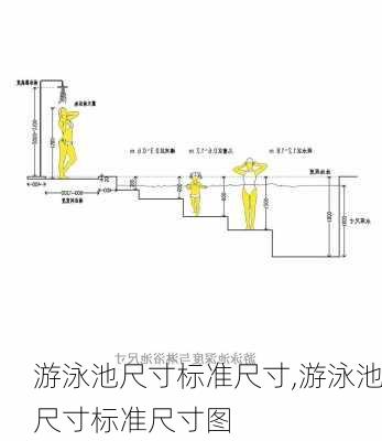 游泳池尺寸标准尺寸,游泳池尺寸标准尺寸图