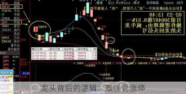 龙头背后的逻辑：难怪会涨停