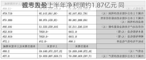 诚志股份上半年净利润约1.87亿元 同
扭亏为盈