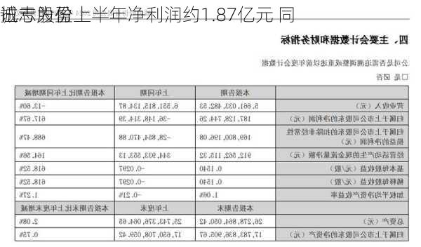 诚志股份上半年净利润约1.87亿元 同
扭亏为盈