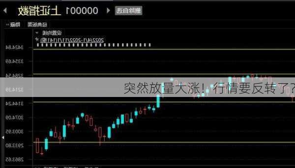 突然放量大涨！行情要反转了？