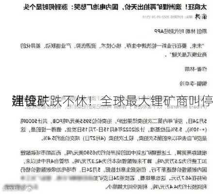 锂价跌跌不休！全球最大锂矿商叫停
洲锂矿
建设