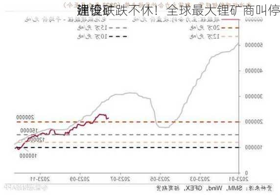 锂价跌跌不休！全球最大锂矿商叫停
洲锂矿
建设