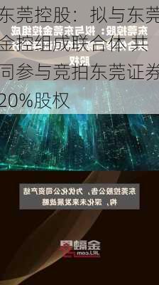 东莞控股：拟与东莞金控组成联合体 共同参与竞拍东莞证券20%股权